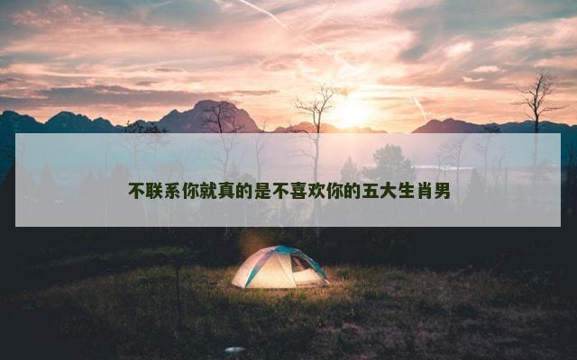 不联系你就真的是不喜欢你的五大生肖男