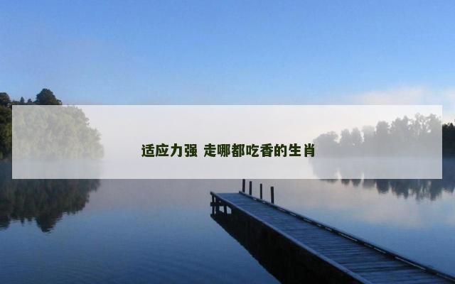 适应力强 走哪都吃香的生肖