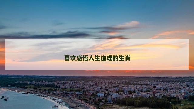 喜欢感悟人生道理的生肖
