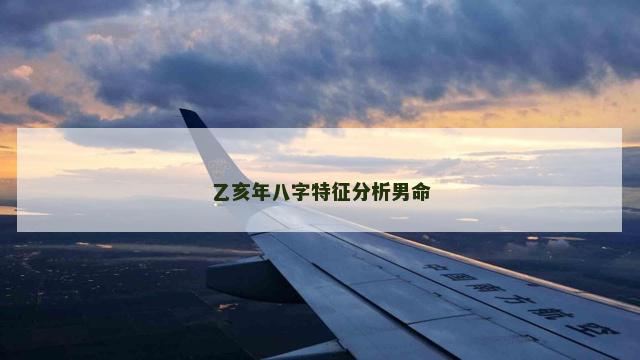 乙亥年八字特征分析男命