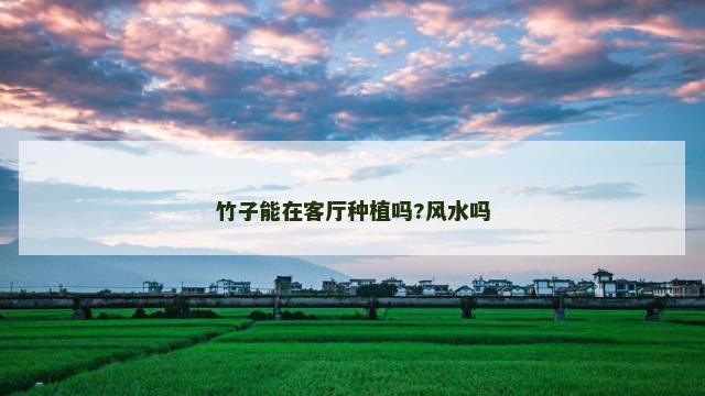 竹子能在客厅种植吗?风水吗
