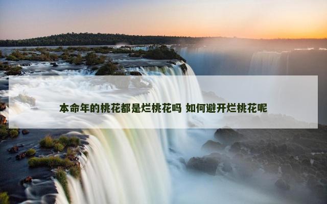 本命年的桃花都是烂桃花吗 如何避开烂桃花呢