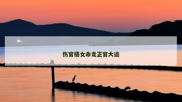伤官格女命走正官大运
