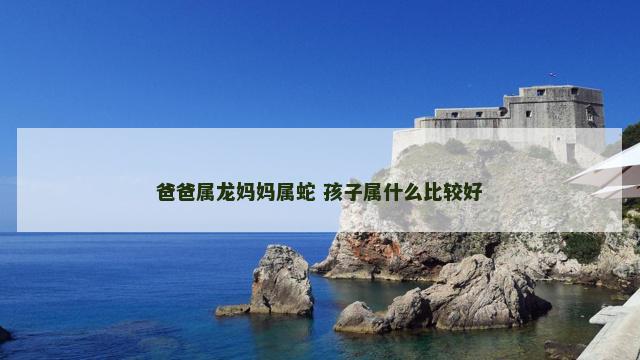 爸爸属龙妈妈属蛇 孩子属什么比较好