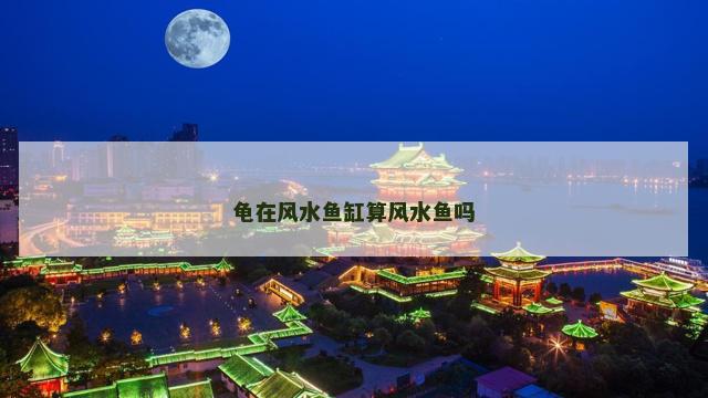 龟在风水鱼缸算风水鱼吗