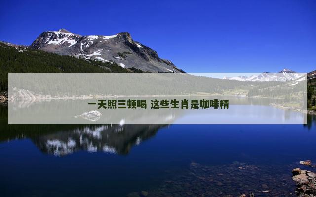 一天照三顿喝 这些生肖是咖啡精