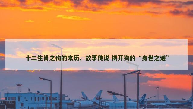 十二生肖之狗的来历、故事传说 揭开狗的“身世之谜”