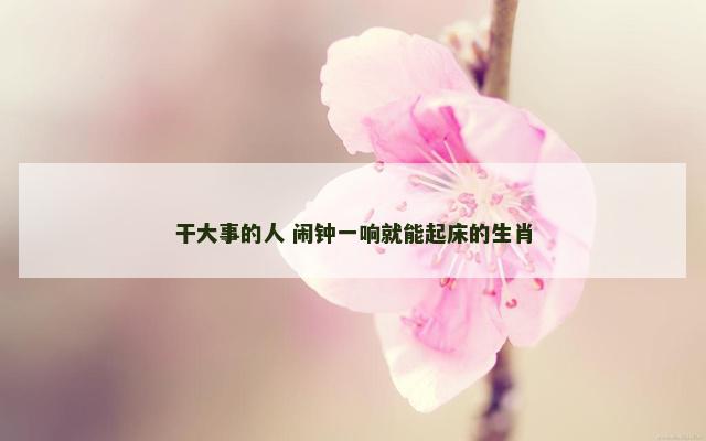 干大事的人 闹钟一响就能起床的生肖