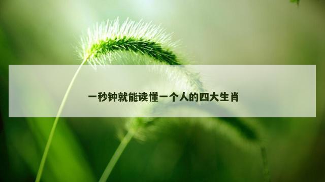 一秒钟就能读懂一个人的四大生肖