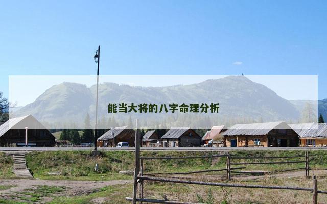 能当大将的八字命理分析