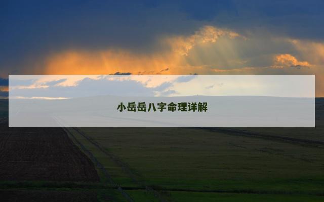 小岳岳八字命理详解