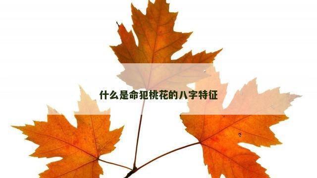 什么是命犯桃花的八字特征
