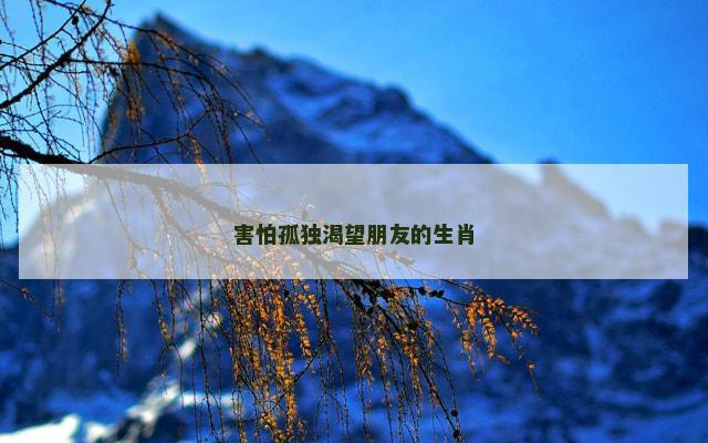 害怕孤独渴望朋友的生肖