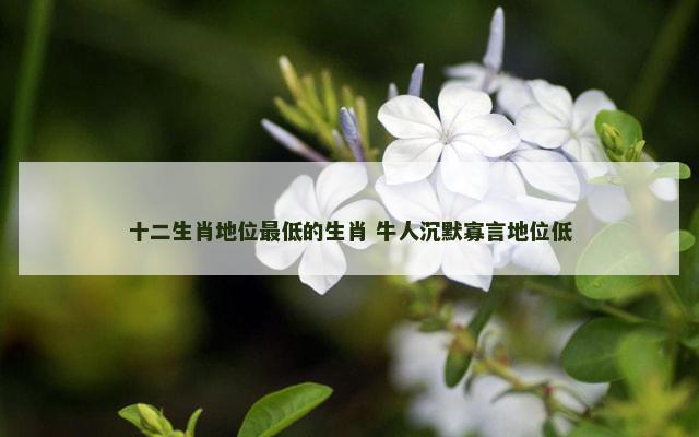十二生肖地位最低的生肖 牛人沉默寡言地位低