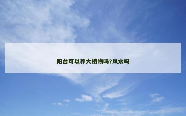 阳台可以养大植物吗?风水吗