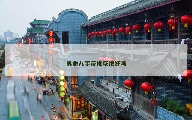 男命八字带桃咸池好吗