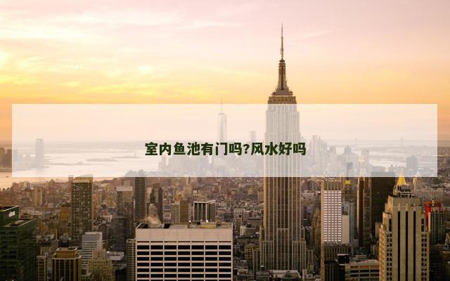 室内鱼池有门吗?风水好吗