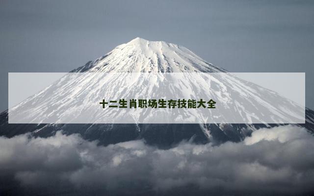 十二生肖职场生存技能大全