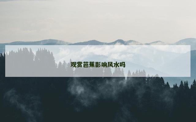观赏芭蕉影响风水吗