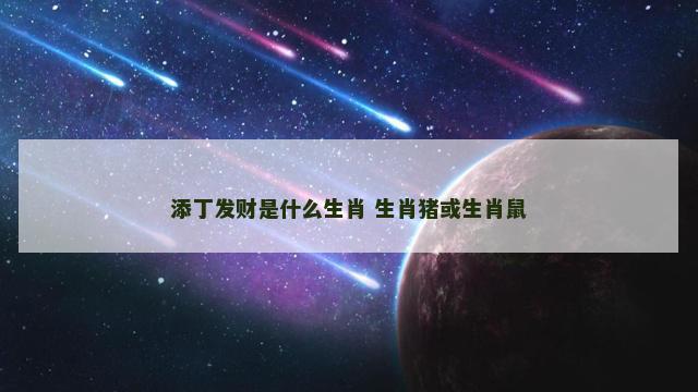 添丁发财是什么生肖 生肖猪或生肖鼠