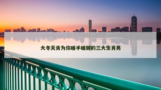 大冬天肯为你暖手暖脚的三大生肖男