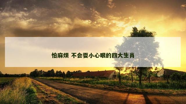 怕麻烦 不会耍小心眼的四大生肖
