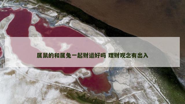 属鼠的和属兔一起财运好吗 理财观念有出入 属鼠的和属兔一起财运好吗 理财观念有出入