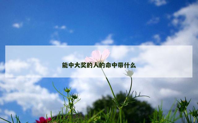 能中大奖的人的命中带什么
