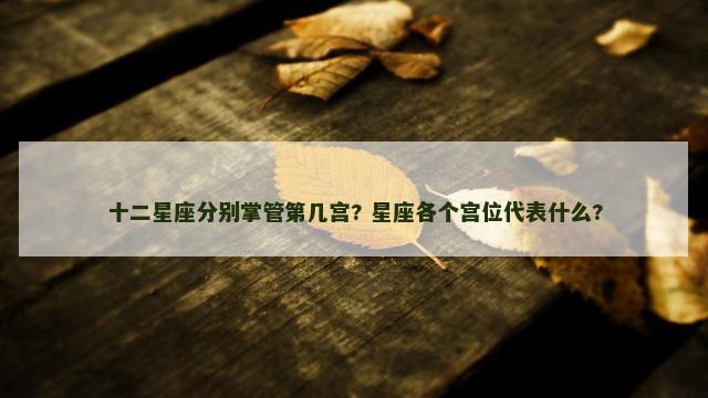 十二星座分别掌管第几宫? 星座各个宫位代表什么?