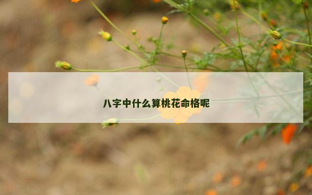 八字中什么算桃花命格呢