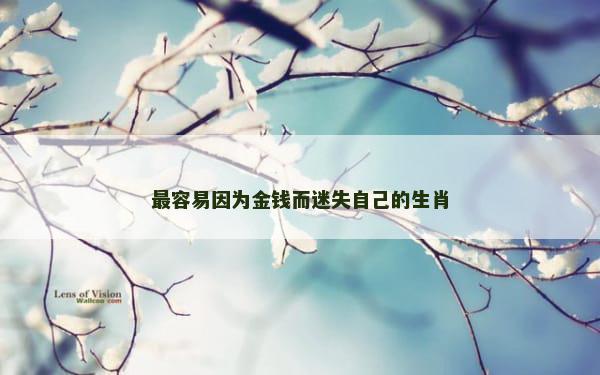 最容易因为金钱而迷失自己的生肖