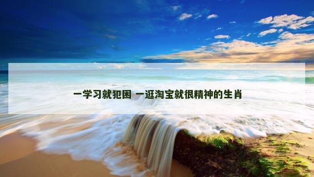 一学习就犯困 一逛淘宝就很精神的生肖