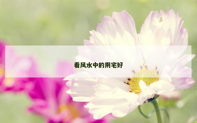 看风水中的阴宅好