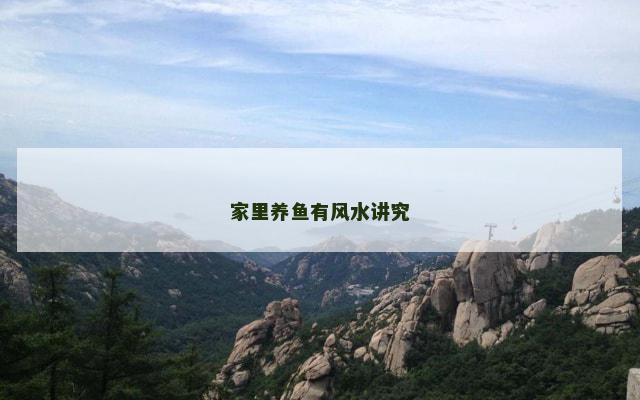 家里养鱼有风水讲究
