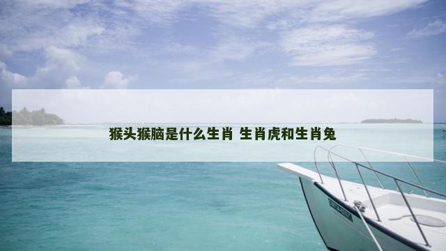 猴头猴脑是什么生肖 生肖虎和生肖兔