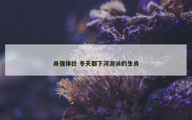 身强体壮 冬天都下河游泳的生肖