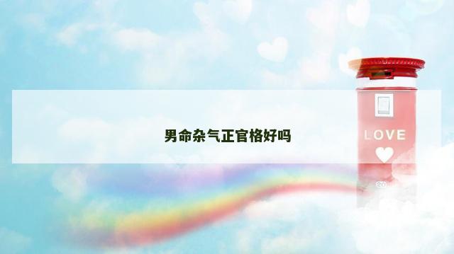 男命杂气正官格好吗