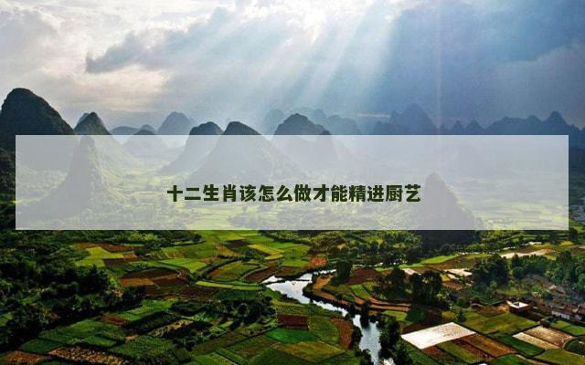 十二生肖该怎么做才能精进厨艺