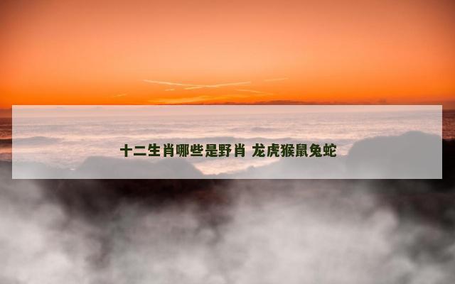 十二生肖哪些是野肖 龙虎猴鼠兔蛇