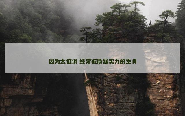 因为太低调 经常被质疑实力的生肖
