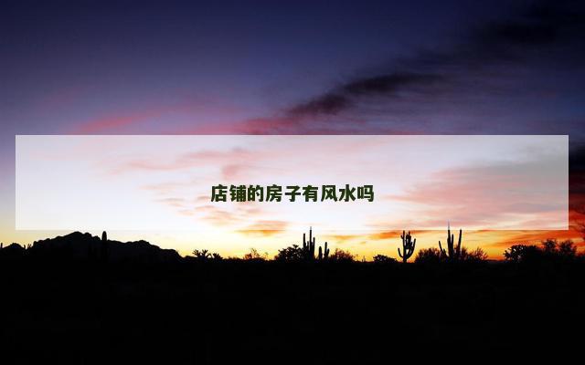 店铺的房子有风水吗