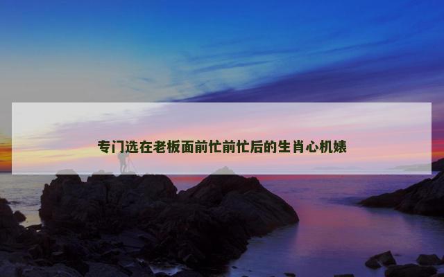 专门选在老板面前忙前忙后的生肖心机婊