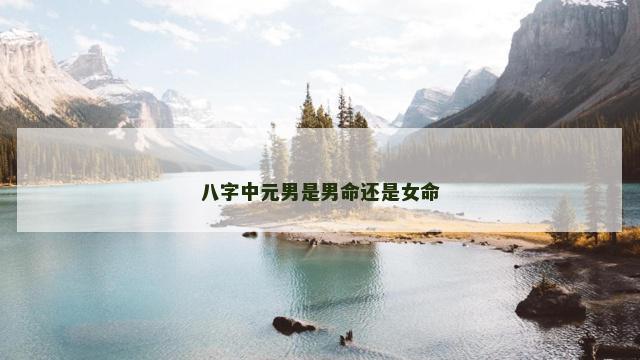 八字中元男是男命还是女命