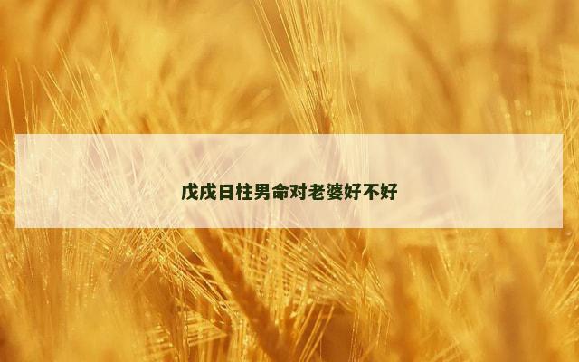 戊戌日柱男命对老婆好不好