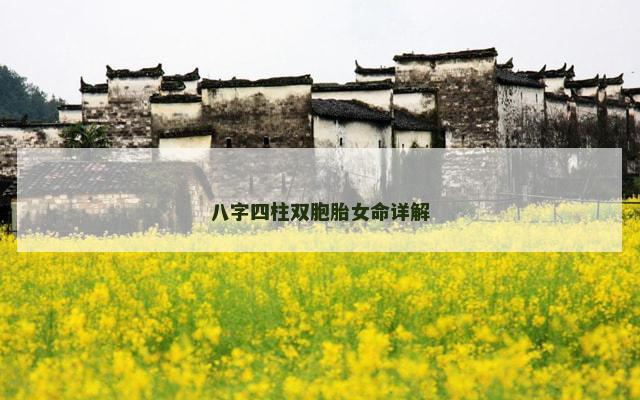 八字四柱双胞胎女命详解
