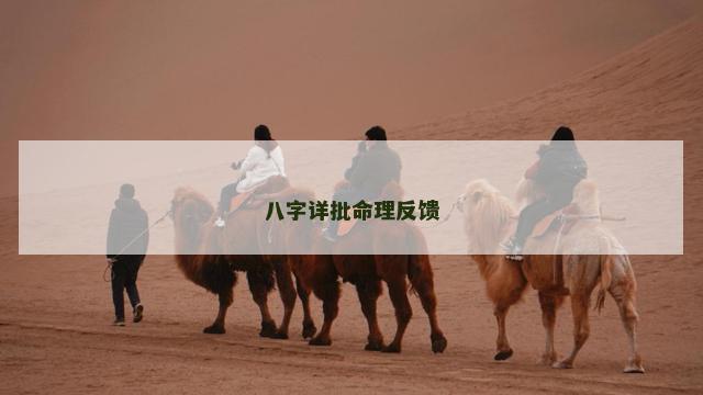 八字详批命理反馈