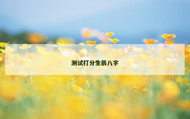 测试打分生辰八字