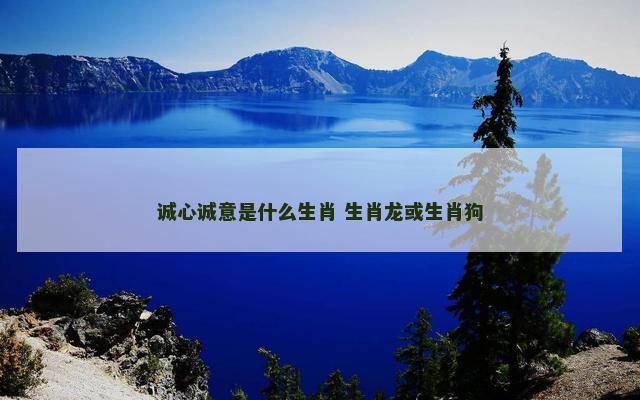 诚心诚意是什么生肖 生肖龙或生肖狗