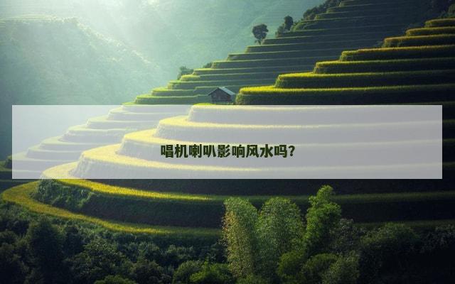 唱机喇叭影响风水吗？