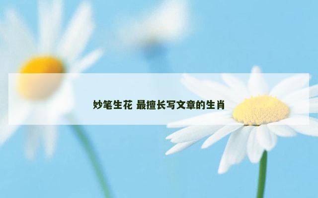 妙笔生花 最擅长写文章的生肖